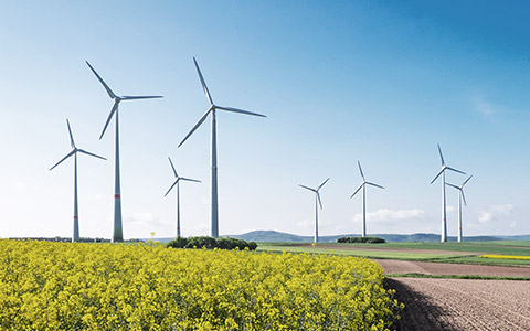 Windkrafträder im Grünen